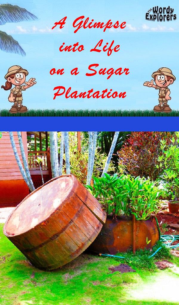 A Glimpse into Life on a Sugar Plantation