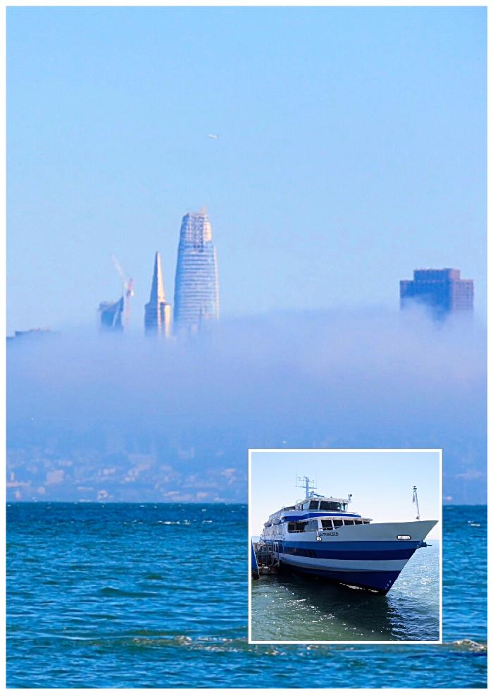 The San Francisco Skyline with Ferry (Inset)