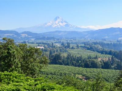 Driving the Mount Hood Scenic Byway