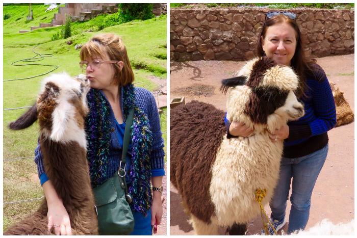 Bonding with Llamas & Alpacas