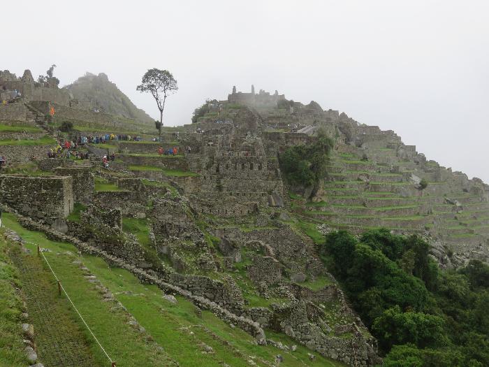 Agricultural and Urban Sectors of Machu Picchu