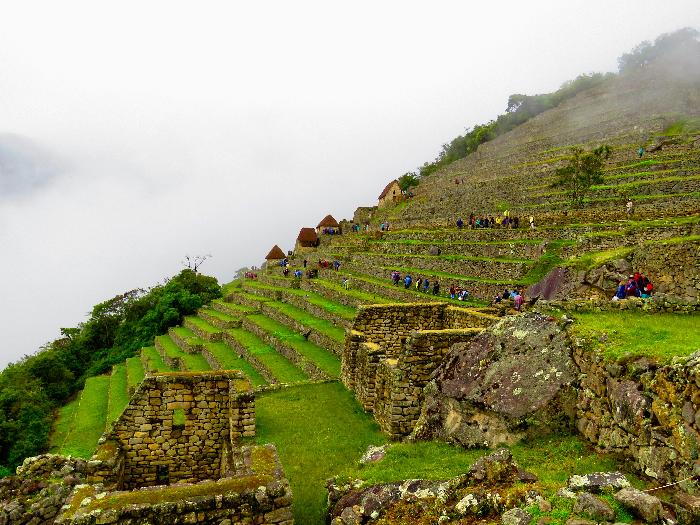 Agricultural Sector of Machu Picchu