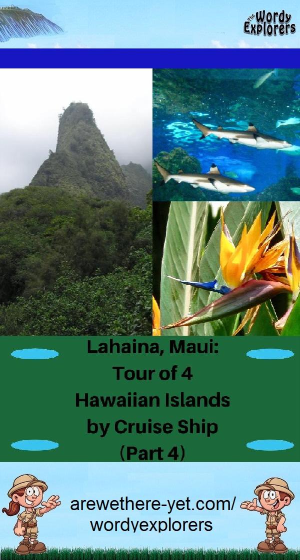 Lahaina, Maui:  Tour of 4 Hawaiian Islands by Cruise Ship (Part 4)