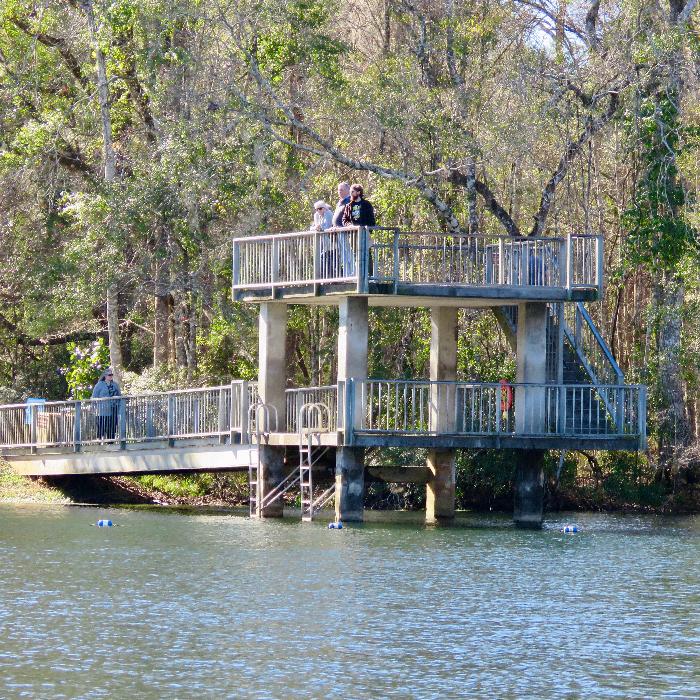 Wakulla Springs Observation Tower