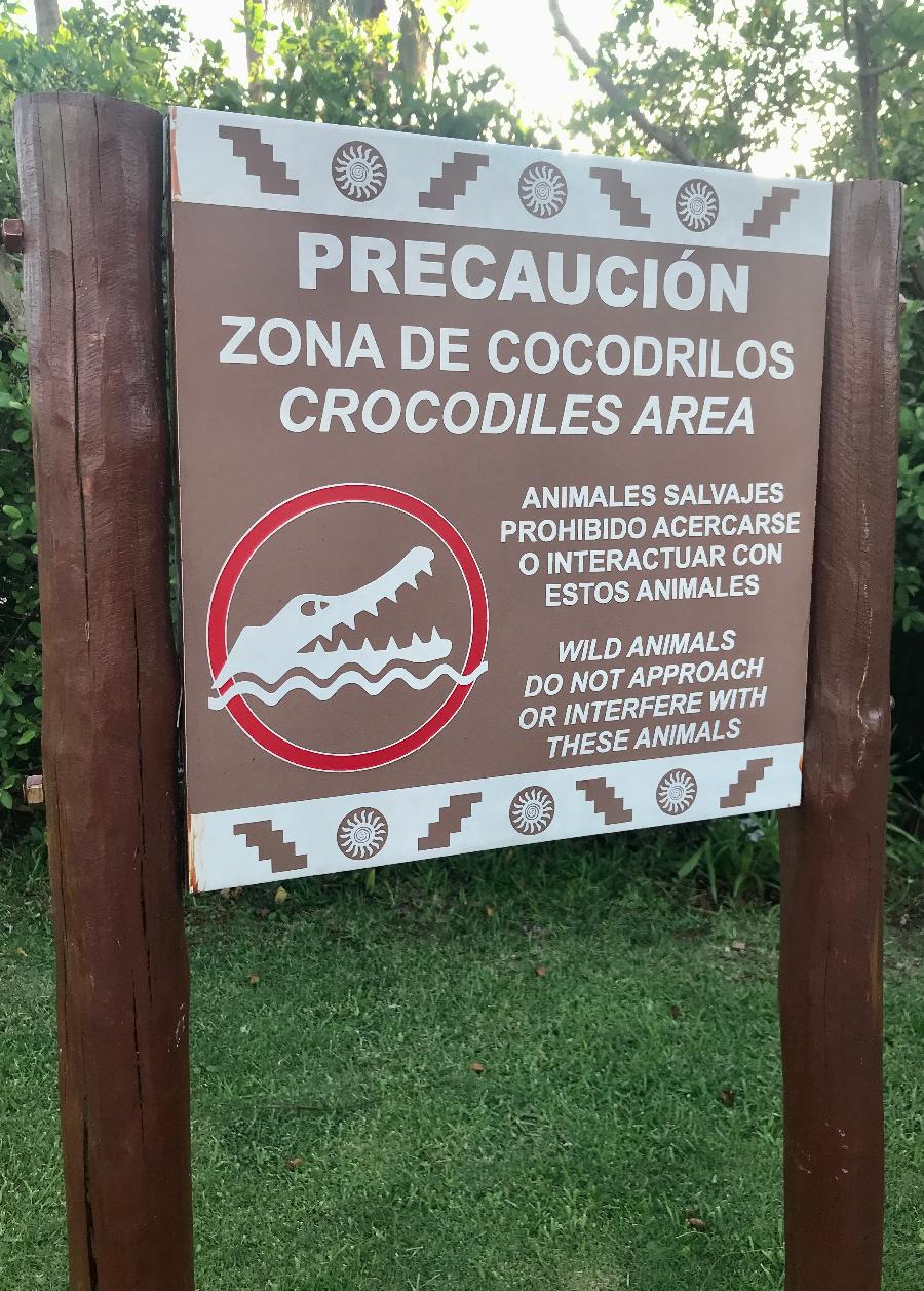 Caution: Crocodile Area!