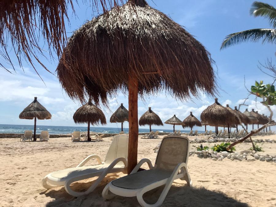 Shaded Lounge Chairs on Bahia Principe Beach