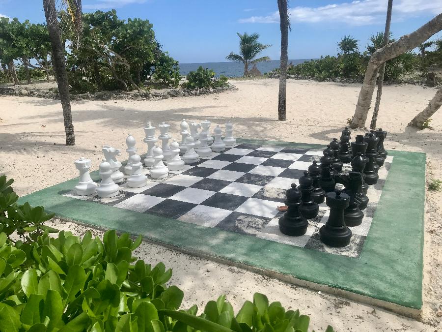Want to Play a Game of Chess?