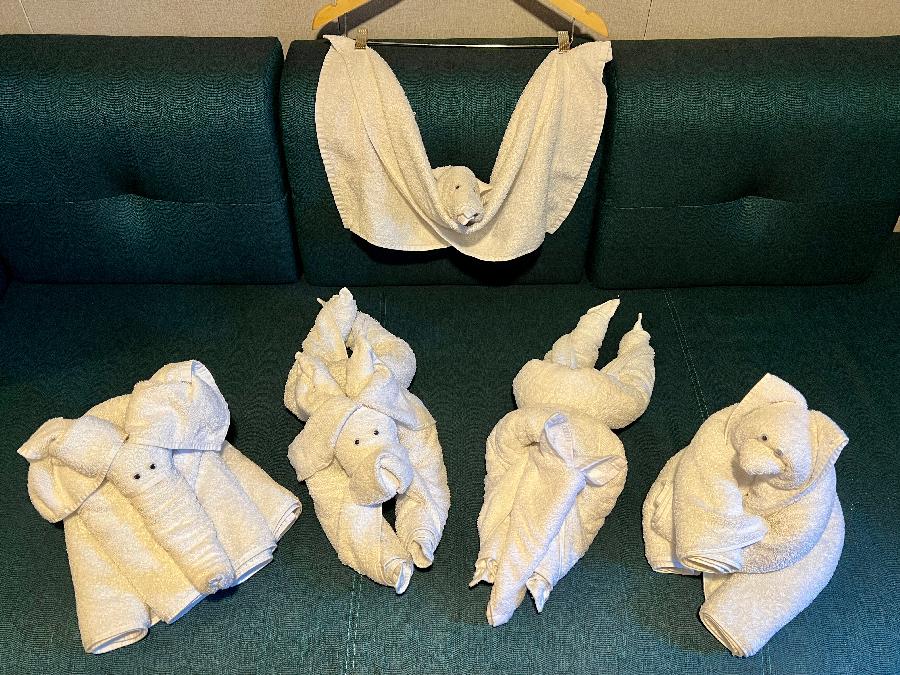 Towel Animals Courtesy of Myra, our Cabin Attendant
