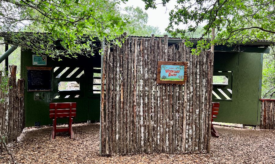 Guadalupe River State Park's Woodland Blind