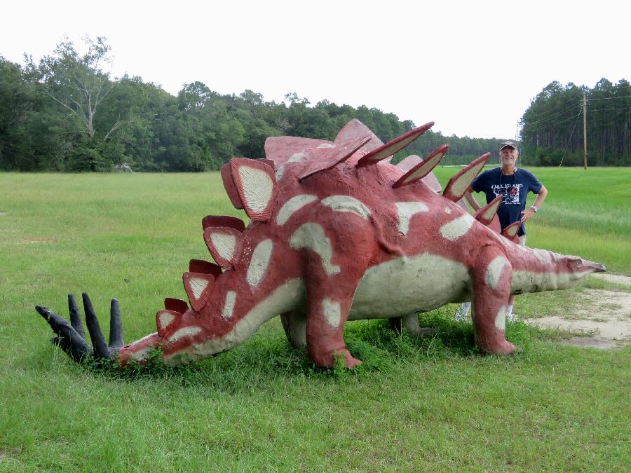 Meeting Up with the Stegosaurus