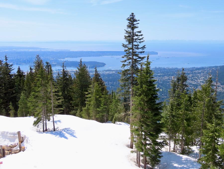 View atop Snow Covered Grouse Mountain